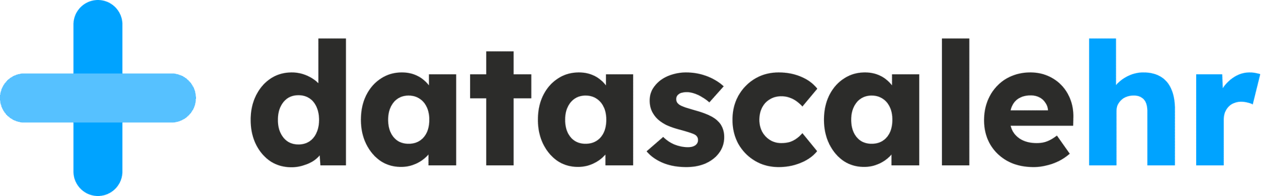 datascalehr-logo-primary-1